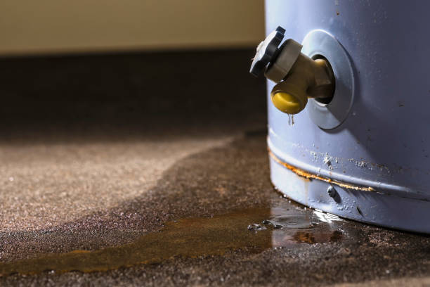 Best Carpet water damage restoration  in Hustisford, WI