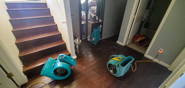 Best Local water damage restoration  in Hustisford, WI