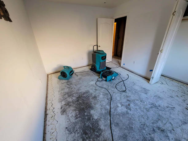 Best Professional water damage repair  in Hustisford, WI
