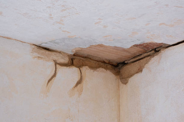 Best Local water damage restoration  in Hustisford, WI
