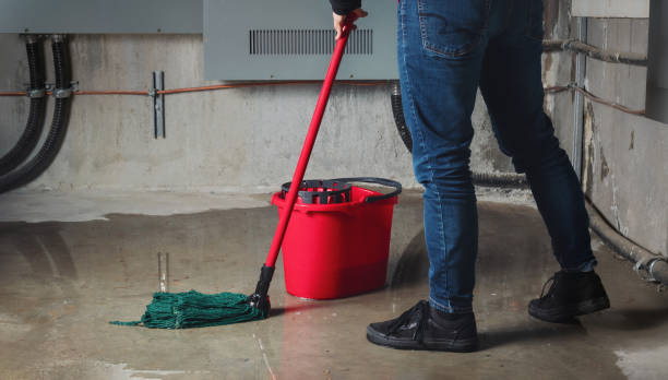 Best Flood damage cleanup  in Hustisford, WI