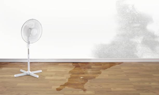 Best Water damage cleanup near me  in Hustisford, WI