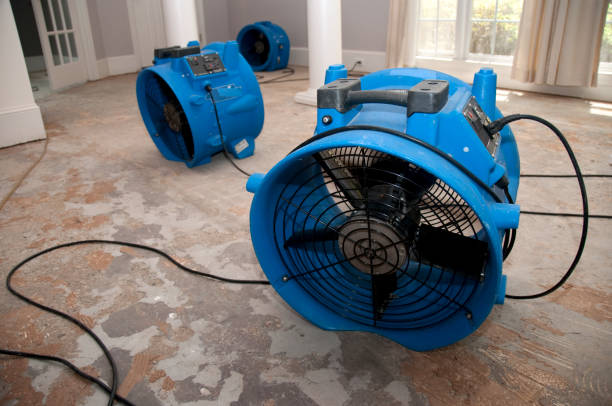 Best Residential water damage restoration  in Hustisford, WI