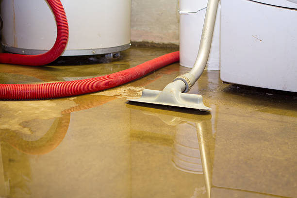 Best Sewage cleanup and water damage restoration  in Hustisford, WI