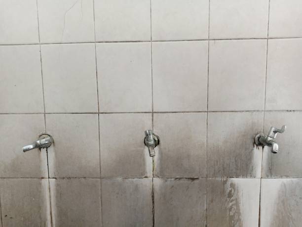 Best Water damage restoration insurance claims  in Hustisford, WI