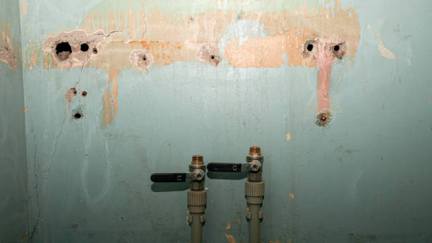 Best Water damage contractors near me  in Hustisford, WI